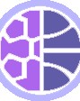 星空体育官网-泪崩离场！恩戈姆伸腿抢球结果蹬踏吴亚轲，被VAR介入直红罚下