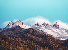 星空体育下载-华体会官网：在新体育时代的信任与体验